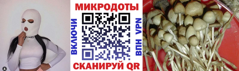 Галлюциногенные грибы GOLDEN TEACHER  Каспийск 